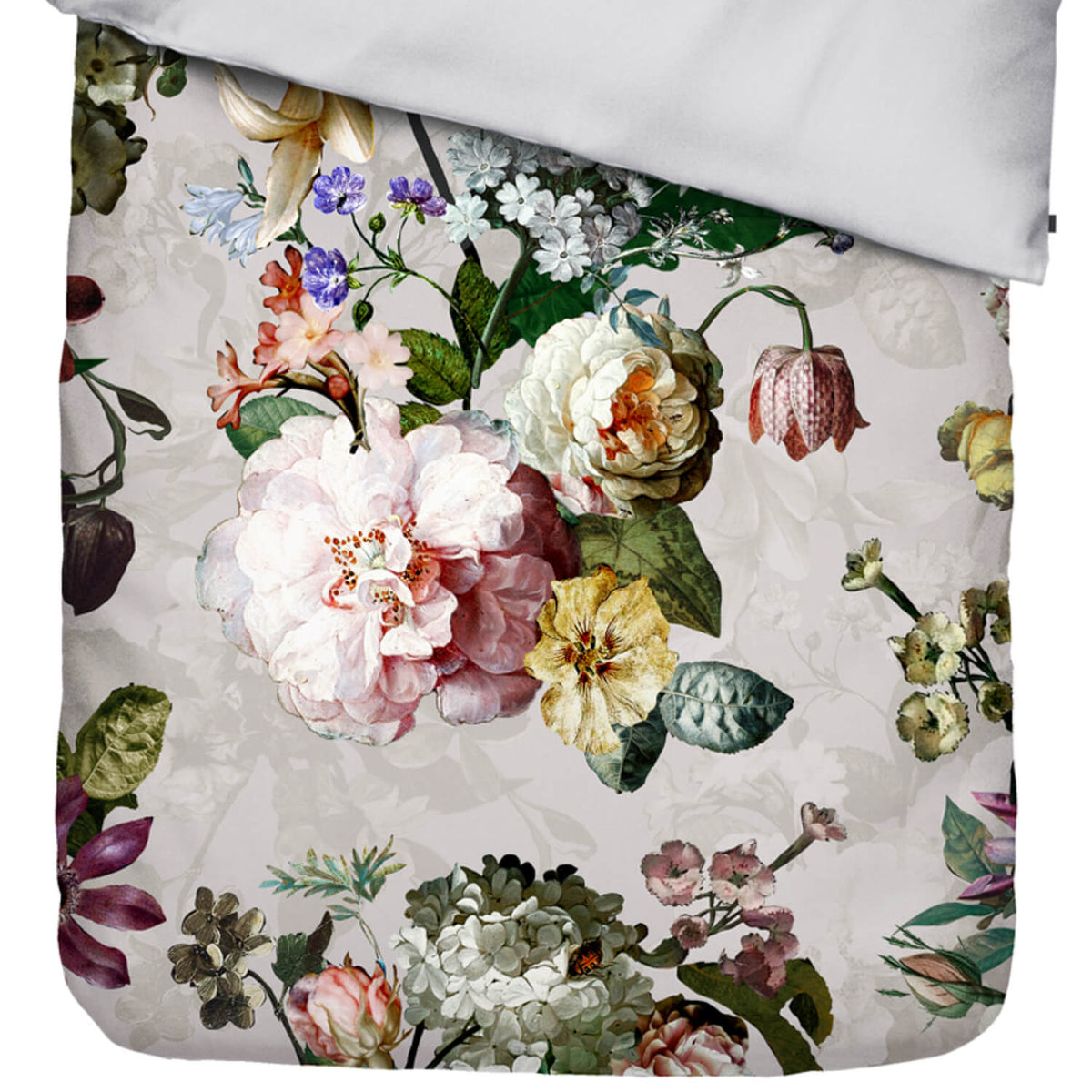 bettwaesche essenza grau blume baumwollsatin