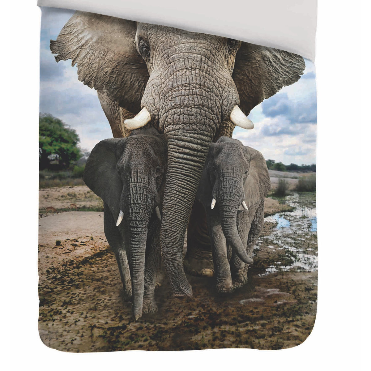 kayori bettwaesche sognamo mumba weiß elefant safari afrika stosszaehne