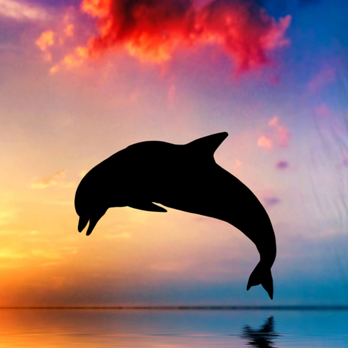 bettwaesche delfin sonnenuntergang blau