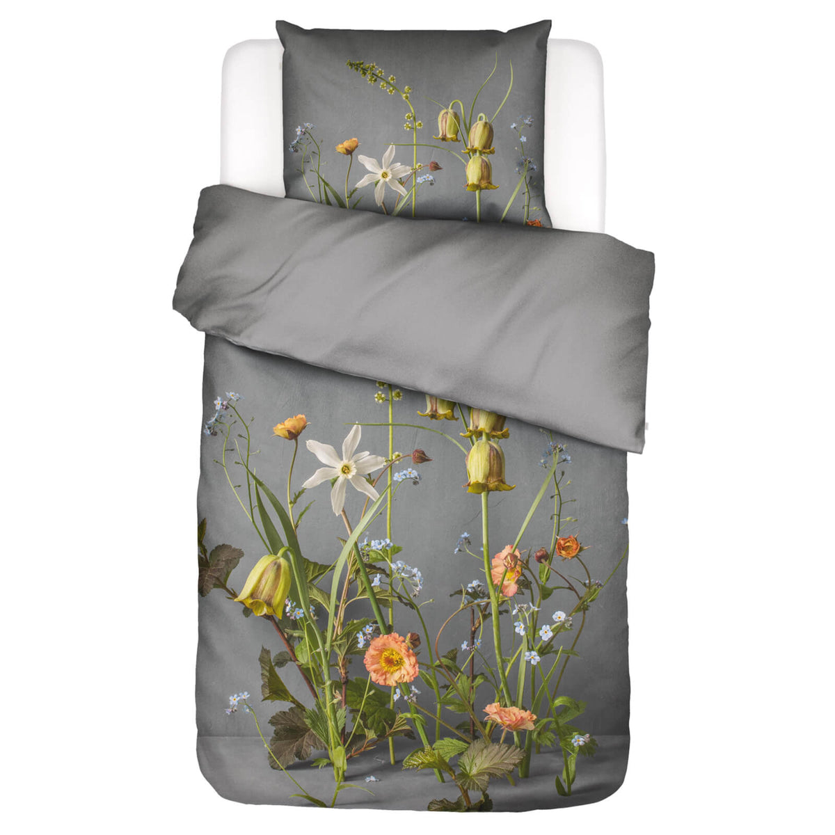 bettwaesche ficaria gebluemt floral