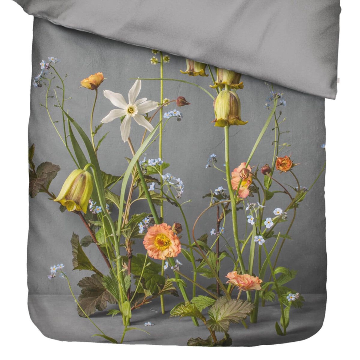 bettwaesche ficaria gebluemt floral