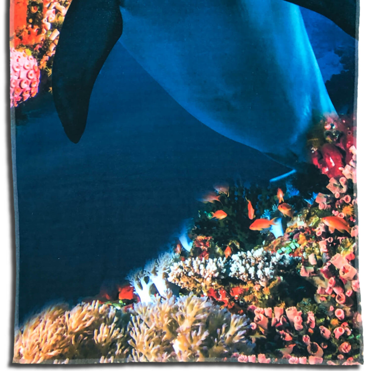 strandlaken badetuch delfin ozean fisch