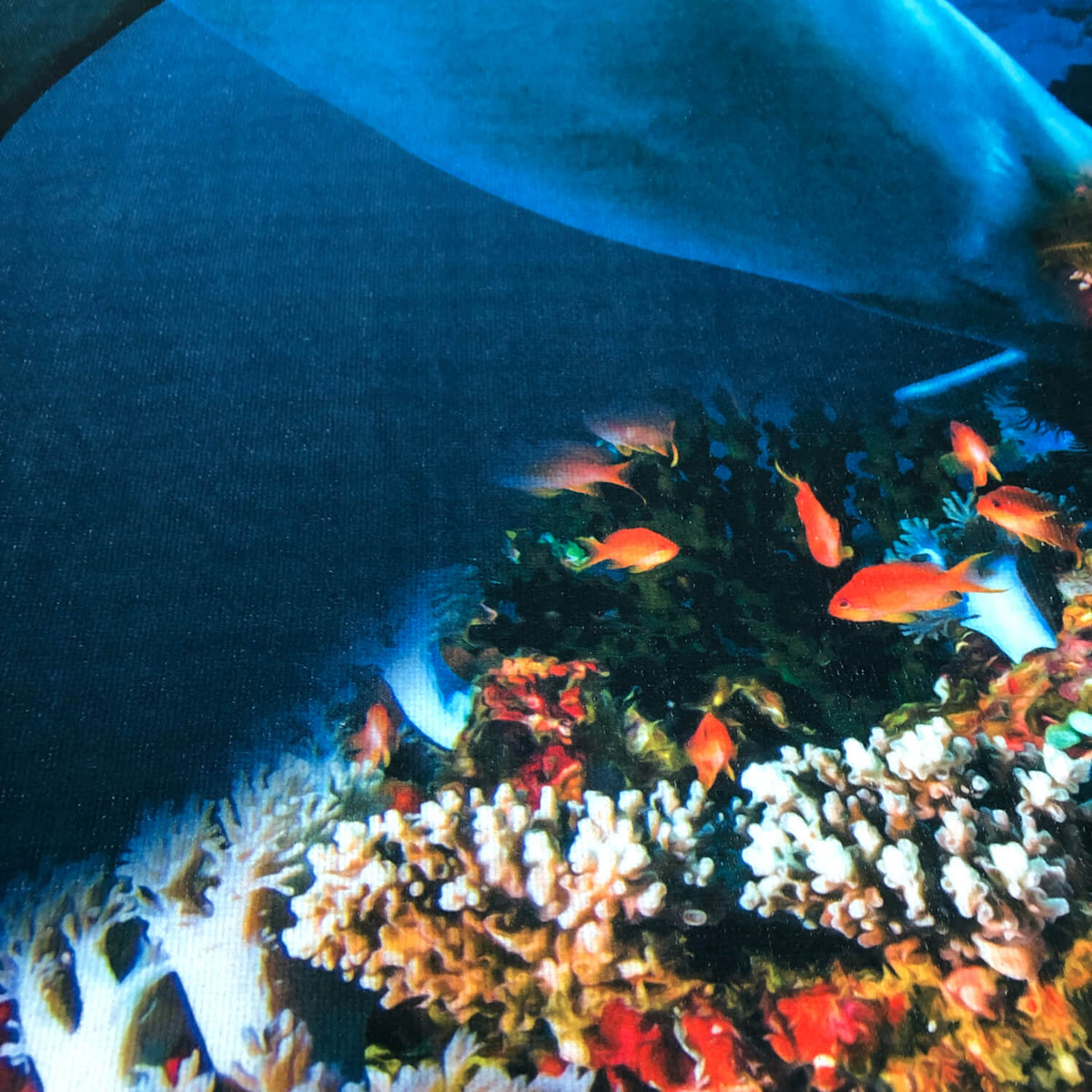 strandlaken badetuch delfin ozean fisch