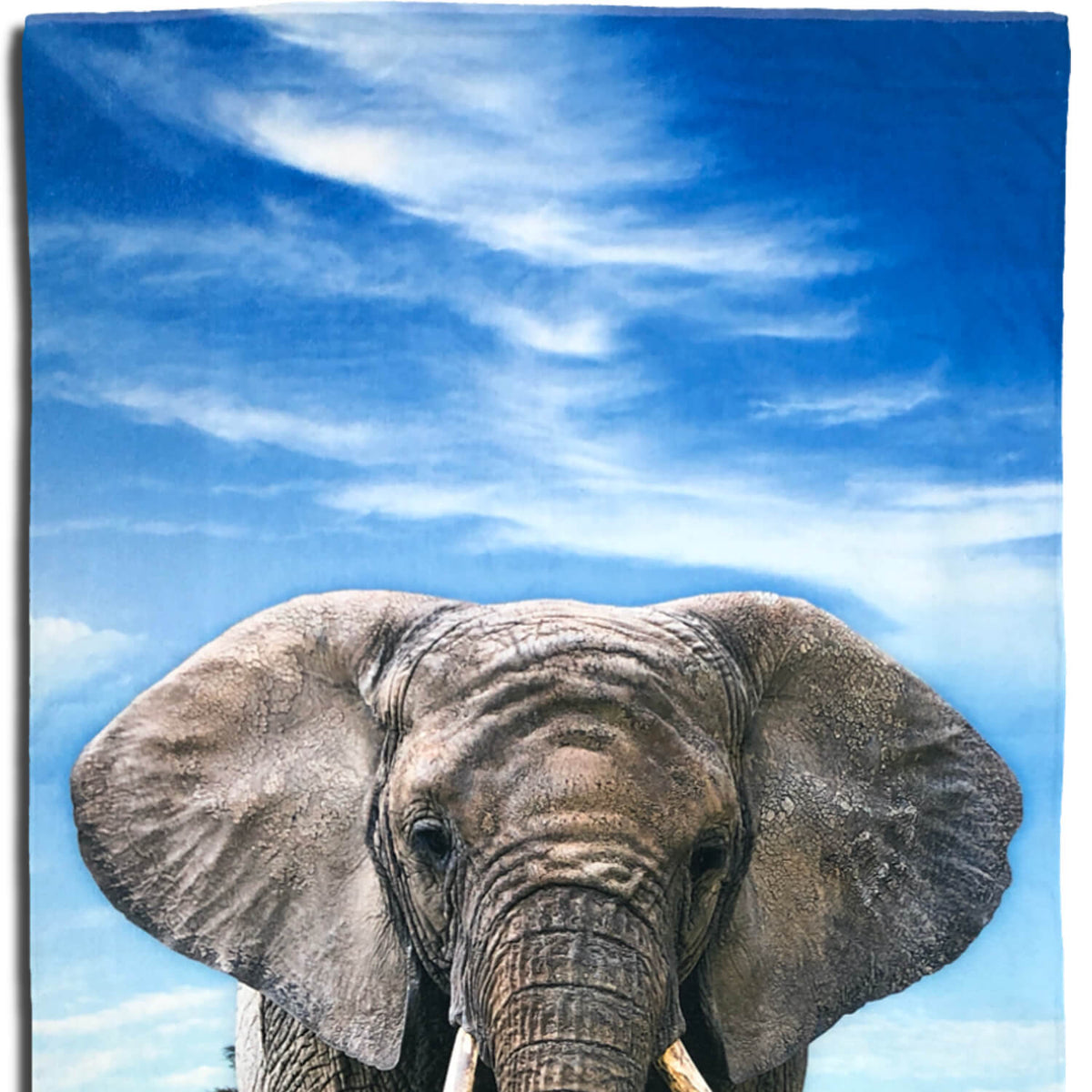 strandlaken elephant espico afrika ruessel