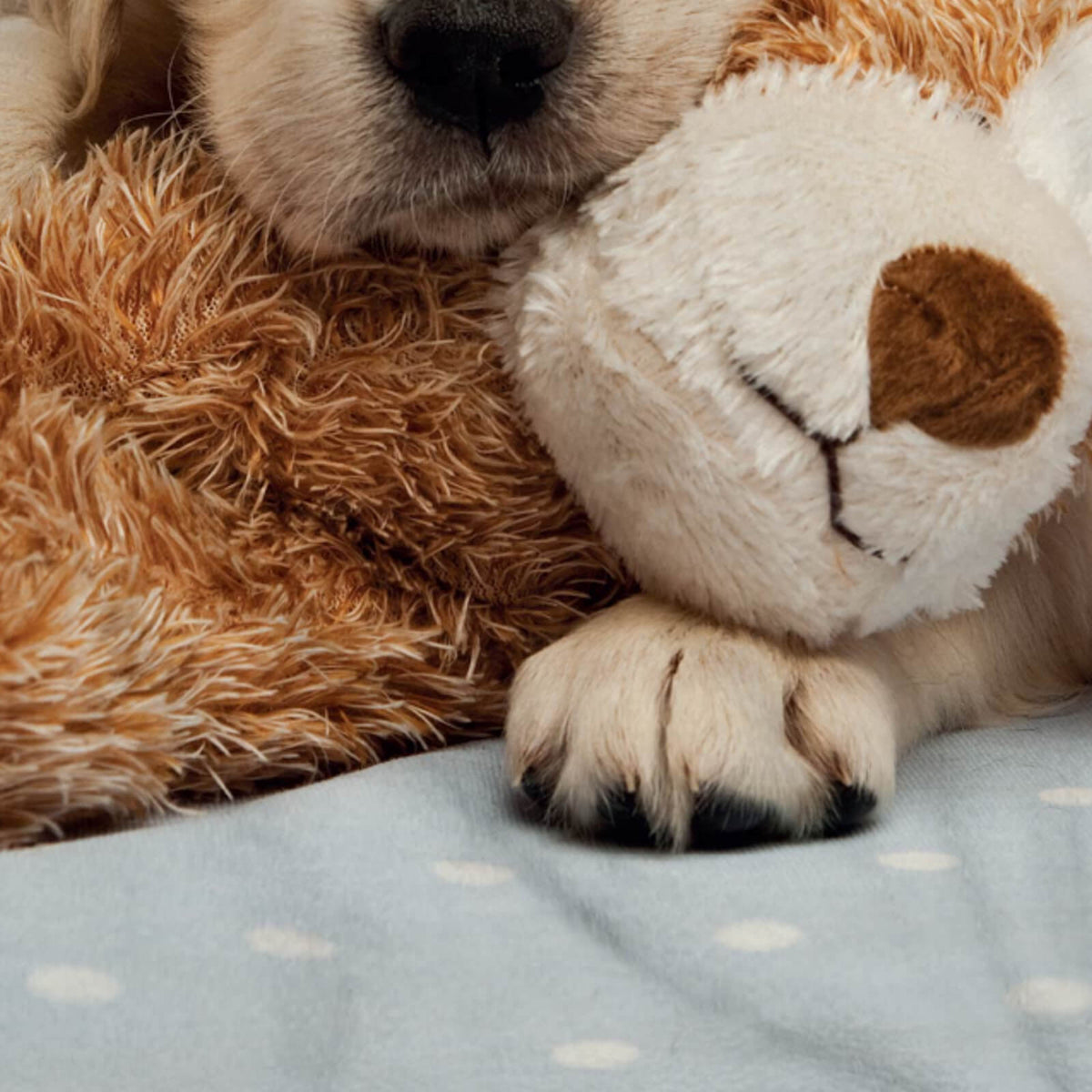 strandlaken handtuch liegetuch tiermotiv hund