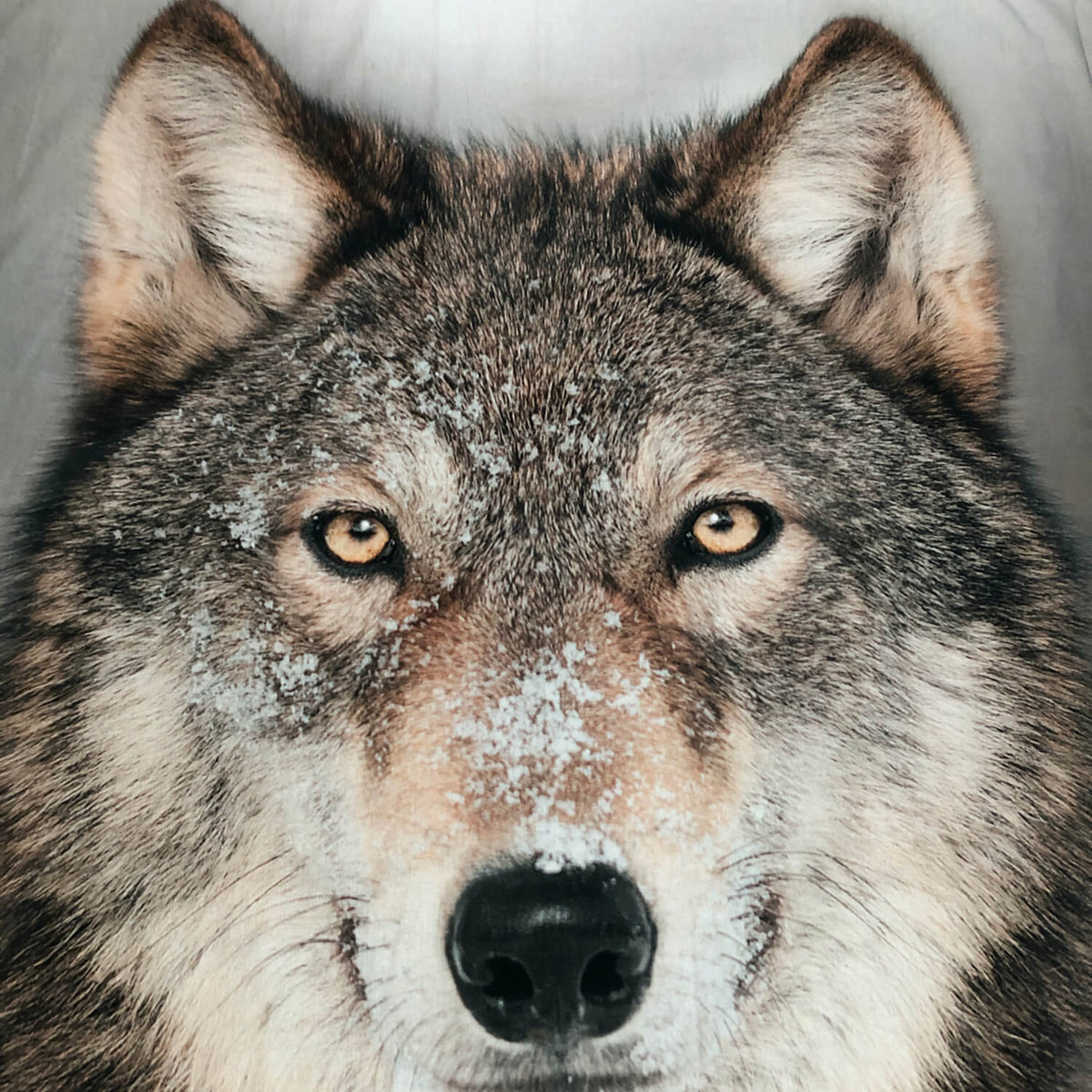 bettwaesche wolf schnee winter raubtier wild