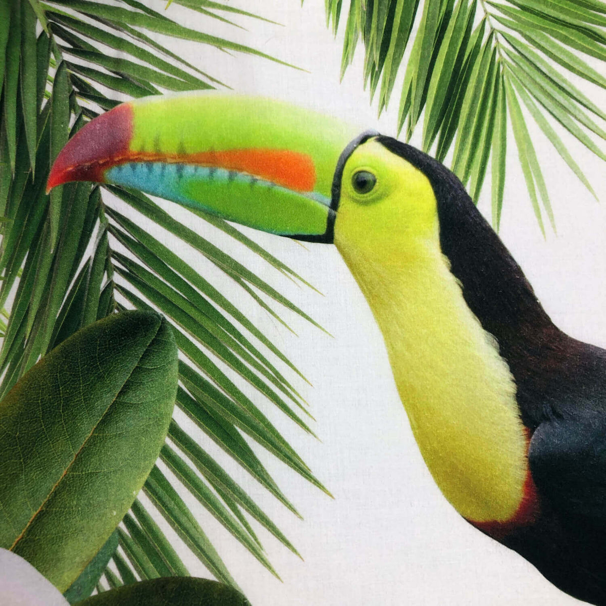 Schwanberg Bettwäsche Jungle Dschungel Bunt Papagei Tukan 