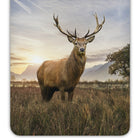 bettwaesche trendy bedding hirsch geweih landschaft berge