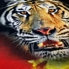 digital druck bettwaesche tiger mystic rot schwarz afrika raubtier renforcé