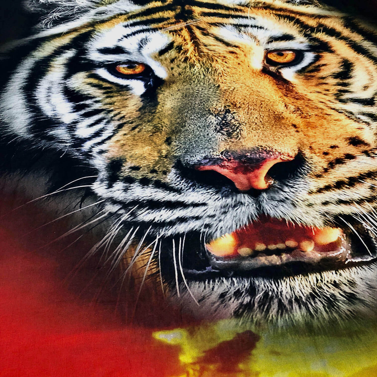 digital druck bettwaesche tiger mystic rot schwarz afrika raubtier renforcé