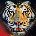 digital druck bettwaesche tiger mystic rot schwarz afrika raubtier renforcé
