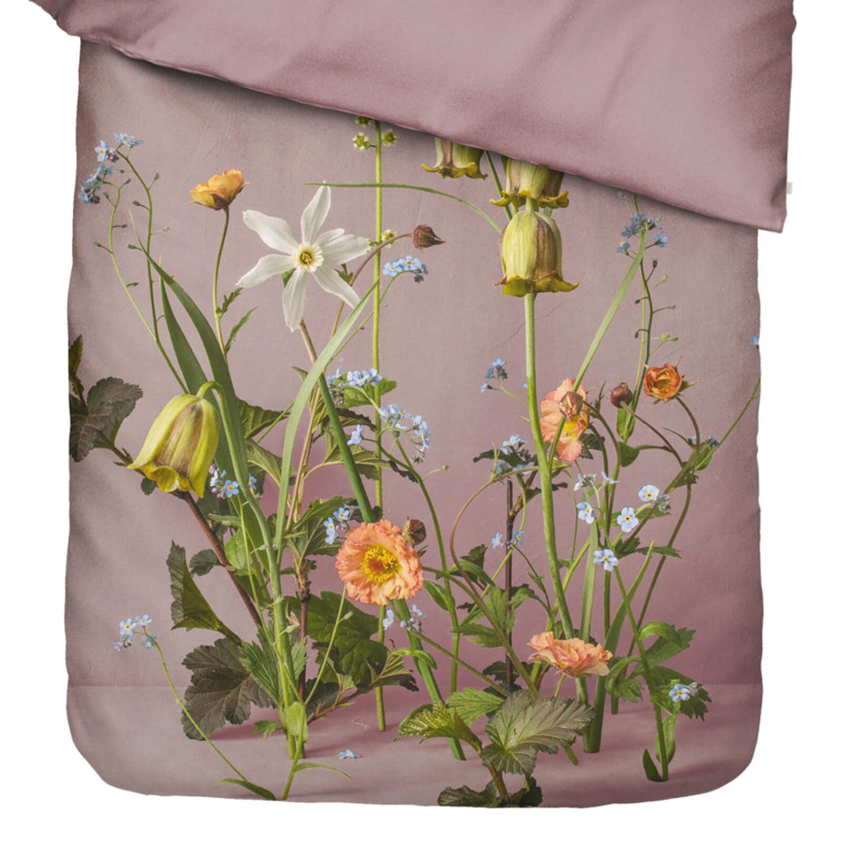 bettwaesche ficaria gebluemt floral rosenholz