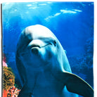 strandlaken badetuch delfin ozean fisch