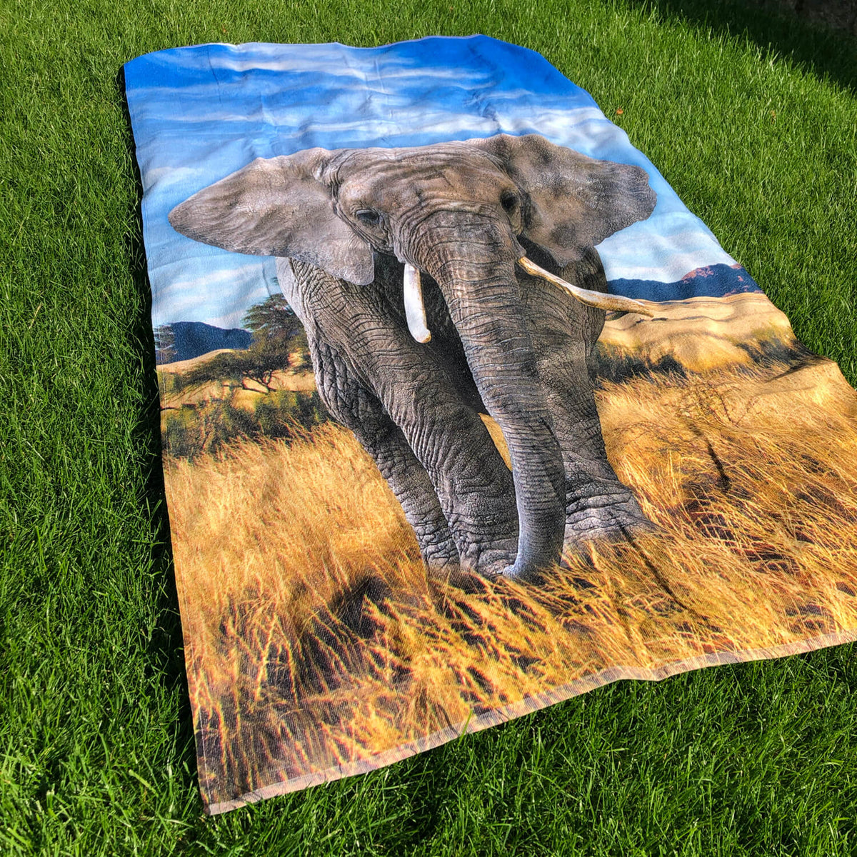 strandlaken elephant espico afrika ruessel