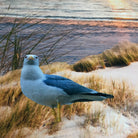 strandlaken badetuch leuchtturm möven wasser meer
