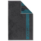gaestetuch graphite frottier