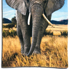 strandlaken elephant espico afrika ruessel