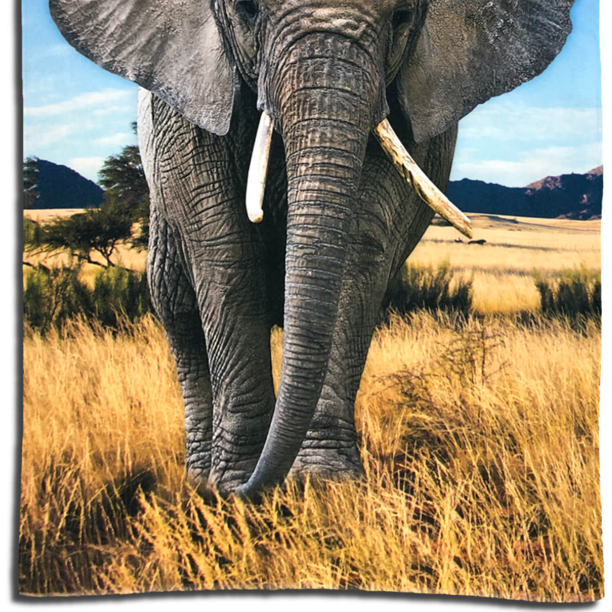 strandlaken elephant espico afrika ruessel