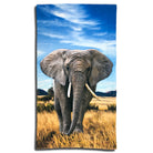 strandlaken elephant espico afrika ruessel