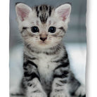 strandlaken handtuch liegetuch tiermotiv katze