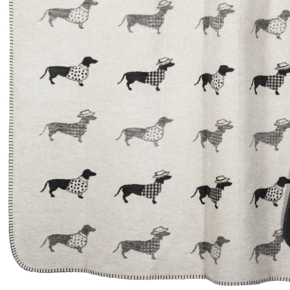 pad home wohndecke dackel hund tier