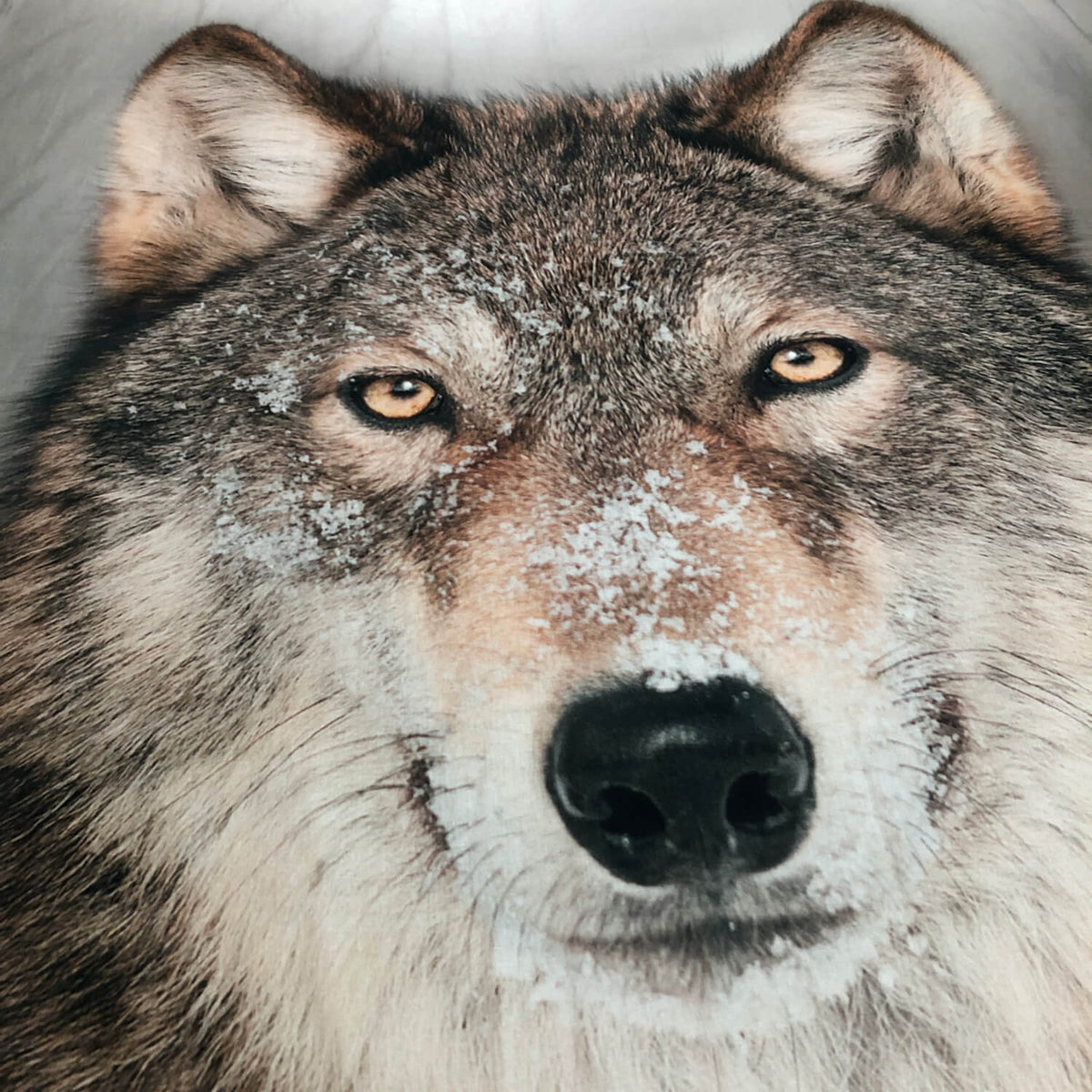 bettwaesche wolf schnee winter raubtier wild